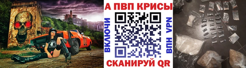 А ПВП СК  MEGA ссылки  Вельск 