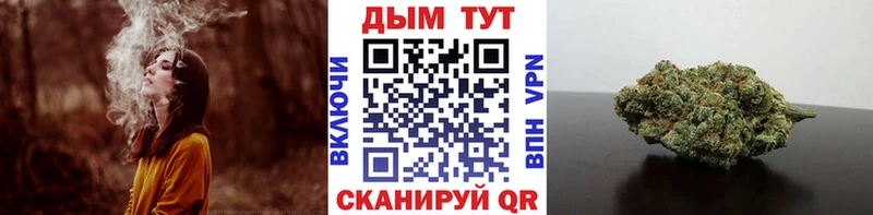 Марихуана гибрид  Вельск 